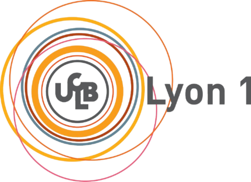 Université de Lyon
